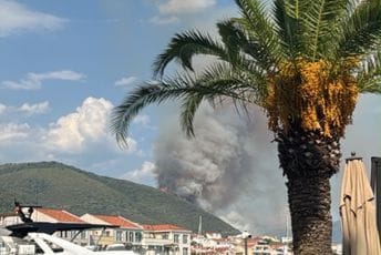 Gori u više opština: Aktivirao se požar u Kotoru, kritično iznad Đenovića, vatrogasci u Ulcinju brane trafostanicu
