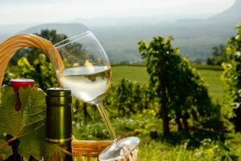 Bijelo vino se ne pravi „od oka“: Šta se mora kontrolisati od berbe do boce? Bijelo vino se ne pravi „od oka“: Šta se mora kontrolisati od berbe do boce?