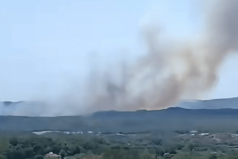 Proširio se požar u Ulcinju,  ugroženi pojedini objekti i maslinjaci