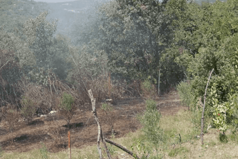 Piperima sinoć prijetila vatra; Vučinić: Geotermalne kamere uskoro aktivne, pokrivaće ogroman dio područja Piperima sinoć prijetila vatra; Vučinić: Geotermalne kamere uskoro aktivne, pokrivaće ogroman dio područja