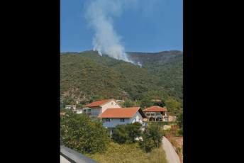 Herceg Novi: Dosta požara sanirano, kod Pršut krivine ugrožena kuća Herceg Novi: Dosta požara sanirano, kod Pršut krivine ugrožena kuća