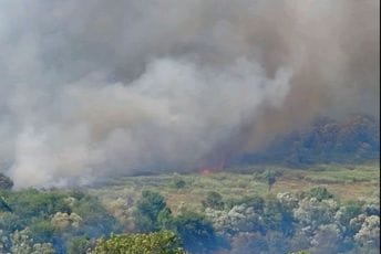Požar u Virpazaru: Vatrena stihija zahvatila veliku površinu