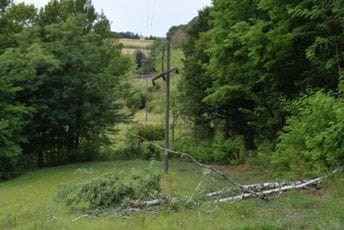 Hrvatska: Posjekao stablo breze i ostavio više od hiljadu kuća bez struje Hrvatska: Posjekao stablo breze i ostavio više od hiljadu kuća bez struje