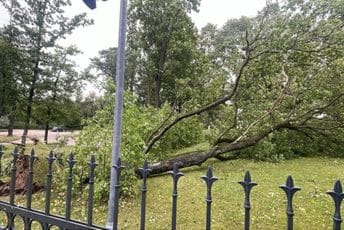 (VIDEO) Snažna oluja pogodila baltičke zemlje: Dvije osobe poginule, stotine hiljada korisnika bez struje