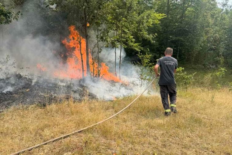 Požari pod kontrolom na području Cetinja i Ulcinja: Situacija znatno stabilnija, vatra ne prijeti objektima Arhiva