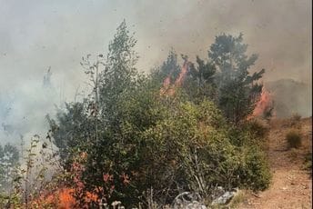 (FOTO) Podmetnuta dva požara na području Cetinja; Ćećanović: Dok smo spašavali kuće u Bijelim Poljanama stigla dojava da gori u Čamovici, biće pokrenuta istraga