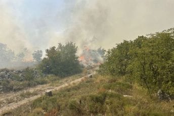 Požar kod Trebinja se oteo kontroli, vjetar otežava gašenje Požar kod Trebinja se oteo kontroli, vjetar otežava gašenje