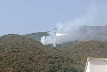 (VIDEO) Herceg Novi: Vjetar rasplamsao požar u Đenovićima, avioni uključeni u gašenje Arhiva