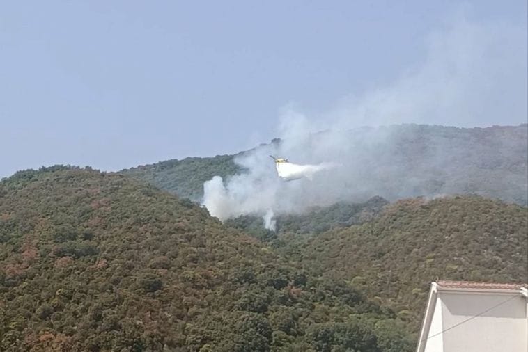 (VIDEO) Herceg Novi: Vjetar rasplamsao požar u Đenovićima, avioni uključeni u gašenje