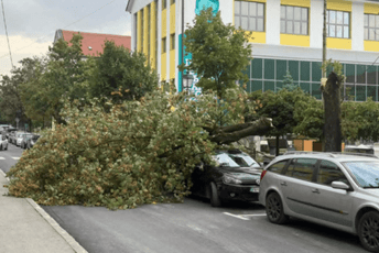 Pljevlja: Vjetar srušio stablo - uništen auto, u drugom dijelu grada razbuktava se požar