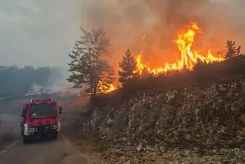 Plužine: Požar na području Kapavice i dalje aktivan Plužine: Požar na području Kapavice i dalje aktivan