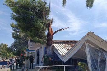 Incident na šetalištu u Baru: Grana teška osam tona pala na lokal