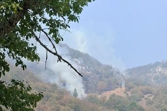 (FOTO) Šavnik: Požar u Kruševicama prijeti kućama, mještani i vatrogasci zajedno gase
