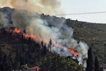 Aktivan požar u Sutomoru; Vulević: Četvrti put ovog ljeta gasimo na Golom brdu