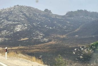 Vatrena stihija ne jenjava: Aktivno više požara na području Nikšića, vatrogasci tražili i podršku iz vazduha Vatrena stihija ne jenjava: Aktivno više požara na području Nikšića, vatrogasci tražili i podršku iz vazduha