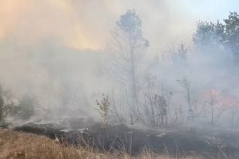 Šavnik: Vatrogasci brane kuće u Kruševicama