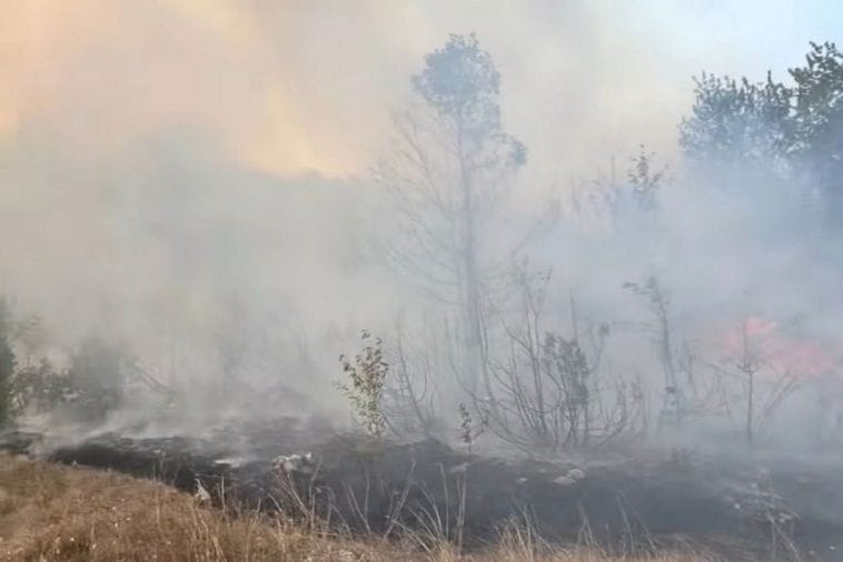 Šavnik: Vatrogasci brane kuće u Kruševicama Šavnik: Vatrogasci brane kuće u Kruševicama