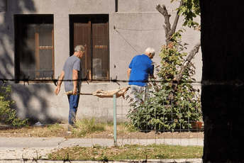 Kod muzeja u Sarajevu okrenuli prase na ražnju, uprava kaže da to nije prvi takav incident Kod muzeja u Sarajevu okrenuli prase na ražnju, uprava kaže da to nije prvi takav incident