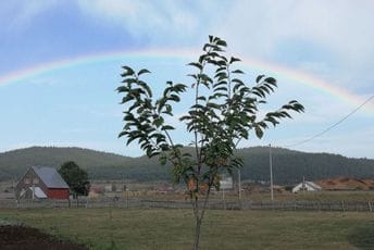 U Crnoj Gori jutros bilo temperatura ispod nule, u susjedstvu pada snijeg U Crnoj Gori jutros bilo temperatura ispod nule, u susjedstvu pada snijeg