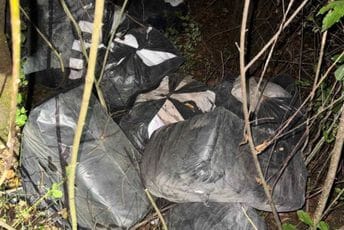 Zećanin bježao policiji Golfom bez tablica: U šumi kod Skadarskog jezera ostavio 185,5 kg duvana