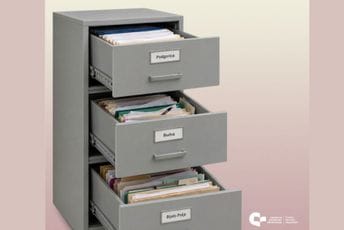 CGO: Milionske kazne, a sudovi za prekršaje bez ujednačenih evidencija CGO: Milionske kazne, a sudovi za prekršaje bez ujednačenih evidencija