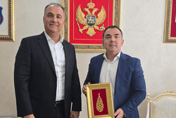 Investicija od 50 miliona eura: Na Cetinju planirana solarna elektrana „Velestovo“ sa baterijskim sistemom