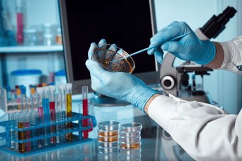 Da li ima kuge u Rusiji: Preminula naučnica, 200 ljudi hospitalizovano