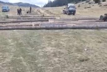 (VIDEO) Inžinjer doznačar tvrdio da se radi o sanitarnoj sječi, a posječena sirova stabla (VIDEO) Inžinjer doznačar tvrdio da se radi o sanitarnoj sječi, a posječena sirova stabla