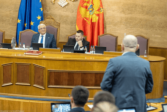 Mandić: Mahinalno sam glasao za svoju smjenu