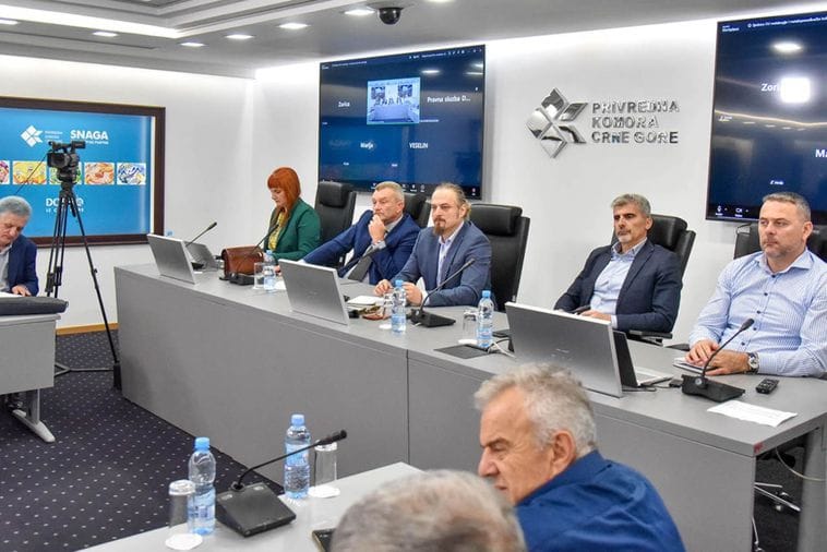 Minić: Privrednici veoma zabrinuti zbog Euro modela, zarade povećavati postepeno