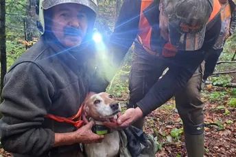 Pas upao u 70 metara duboku jamu, spasio ga lovac
